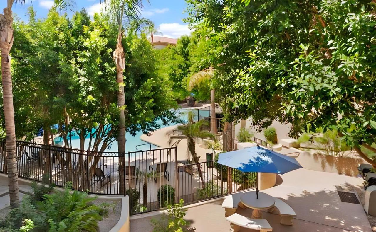 Biltmore Bliss Desert Retreat! Phoenix Buitenkant foto