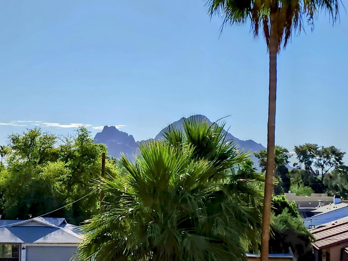 Biltmore Bliss Desert Retreat! Phoenix Buitenkant foto